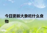 今日更新大象吃什么食物