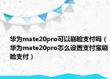 华为mate20pro可以刷脸支付吗（华为mate20pro怎么设置支付宝刷脸支付）