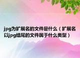 jpg为扩展名的文件是什么（扩展名以jpg结尾的文件属于什么类型）