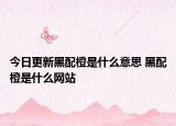 今日更新黑配橙是什么意思 黑配橙是什么网站