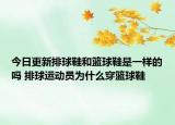 今日更新排球鞋和篮球鞋是一样的吗 排球运动员为什么穿篮球鞋