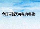 今日更新无毒蛇有哪些
