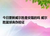今日更新威尔胜是安踏的吗 威尔胜篮球真伪验证