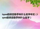 iqoo的语音助手叫什么名字中文（iqoo的语音助手叫什么名字）