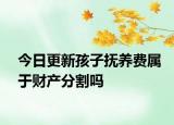 今日更新孩子抚养费属于财产分割吗