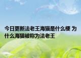 今日更新法老王海猫是什么梗 为什么海猫被称为法老王