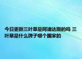 今日更新三叶草是阿迪达斯的吗 三叶草是什么牌子哪个国家的