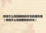微信怎么找回删除的好友的朋友圈（微信怎么找回删除的好友）