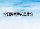 今日更新蹄花是什么