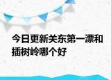 今日更新关东第一漂和插树岭哪个好