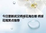 今日更新武汉绣球花海在哪 绣球花观赏点推荐