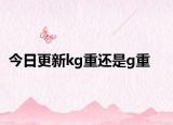 今日更新kg重还是g重