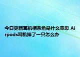 今日更新耳机相亲角是什么意思 Airpods耳机掉了一只怎么办