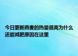 今日更新燕麦的热量很高为什么还能减肥原因在这里