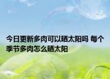 今日更新多肉可以晒太阳吗 每个季节多肉怎么晒太阳