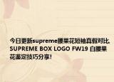 今日更新supreme腰果花短袖真假对比,SUPREME BOX LOGO FW19 白腰果花鉴定技巧分享!