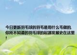 今日更新羽毛球的羽毛是用什么毛做的,你所不知道的羽毛球的起源发展史在这里!