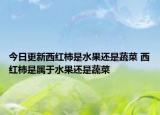 今日更新西红柿是水果还是蔬菜 西红柿是属于水果还是蔬菜