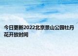 今日更新2022北京景山公园牡丹花开放时间