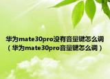 华为mate30pro没有音量键怎么调（华为mate30pro音量键怎么调）