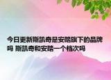 今日更新斯凯奇是安踏旗下的品牌吗 斯凯奇和安踏一个档次吗