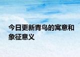 今日更新青鸟的寓意和象征意义