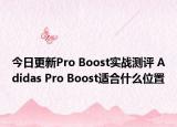 今日更新Pro Boost实战测评 Adidas Pro Boost适合什么位置