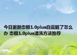 今日更新态极1.0plus白蓝脏了怎么办 态极1.0plus清洗方法推荐