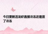 今日更新活龙虾直接冷冻还是蒸了冷冻