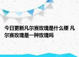 今日更新凡尔赛玫瑰是什么梗 凡尔赛玫瑰是一种玫瑰吗