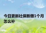 今日更新社保断缴1个月怎么补