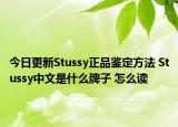 今日更新Stussy正品鉴定方法 Stussy中文是什么牌子 怎么读