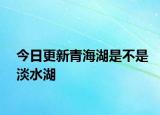 今日更新青海湖是不是淡水湖
