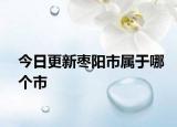 今日更新枣阳市属于哪个市
