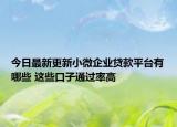 今日最新更新小微企业贷款平台有哪些 这些口子通过率高