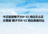 今日更新椰子350 V2 纯白怎么区分真假 椰子350 V2 纯白真假对比