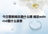 今日更新闸总是什么梗 闸总wdnmd是什么意思