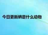 今日更新蚺是什么动物