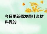 今日更新假发是什么材料做的