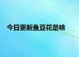 今日更新鱼豆花是啥