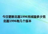 今日更新北面1996充绒量多少克 北面1996有几个版本