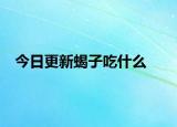 今日更新蝎子吃什么
