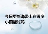 今日更新海带上有很多小洞能吃吗