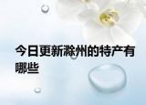 今日更新滁州的特产有哪些