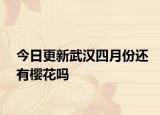 今日更新武汉四月份还有樱花吗