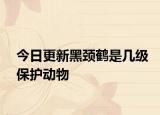 今日更新黑颈鹤是几级保护动物