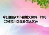 今日更新CDG和川久保玲一样吗 CDG和川久保玲怎么区分
