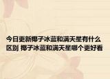 今日更新椰子冰蓝和满天星有什么区别 椰子冰蓝和满天星哪个更好看