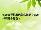 vivos9手机颜色怎么恢复（vivos9有几个颜色）