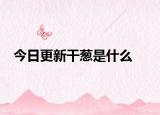 今日更新干葱是什么